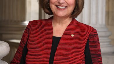 Deb_Fischer,_official_portrait,_115th_Congress