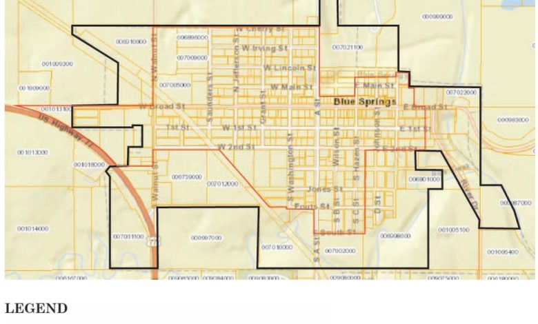 Blue Springs Blight Area Map