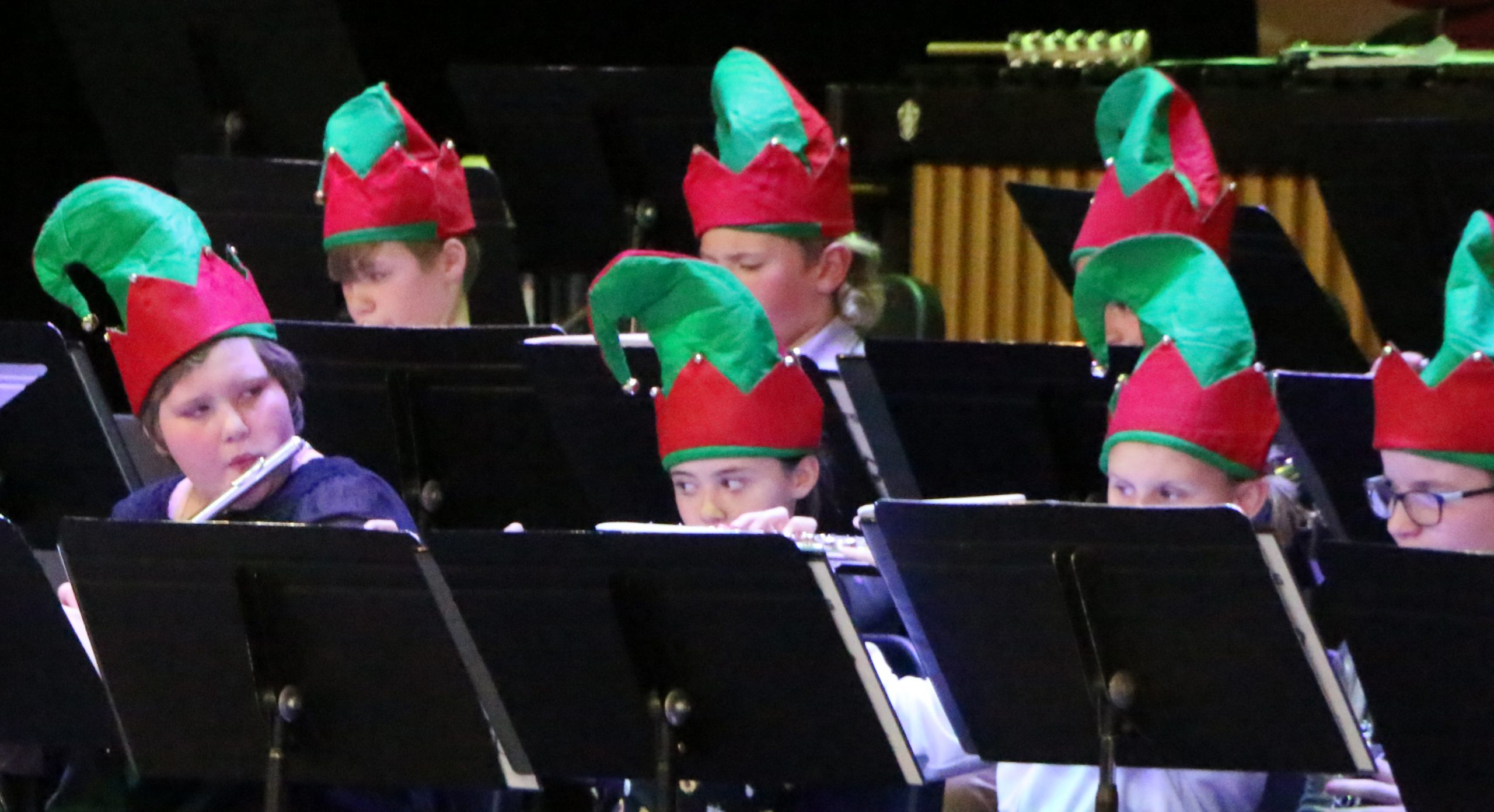 Copa christmas fairbury journal news